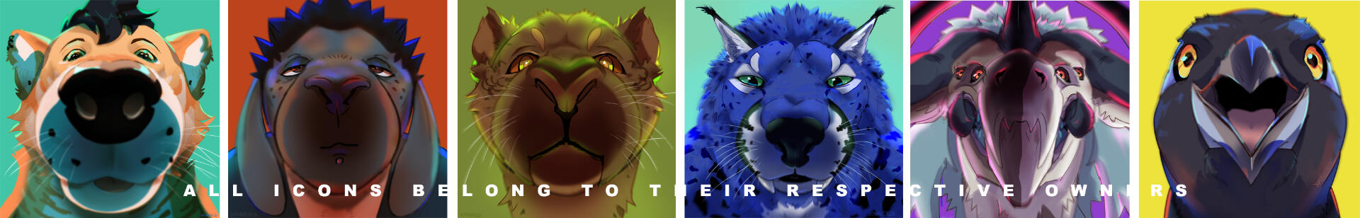 Close up commission isoncs of various animals with different kind of expressions closing into the viewer with thei muzzles Close up commission isoncs of various animals with different kind of expressions closing into the viewer with thei muzzles